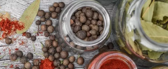 Жиросжигающие специи: узнаем, что они из себя представляют Жиросжигающие специи: узнаем, что они из себя представляют