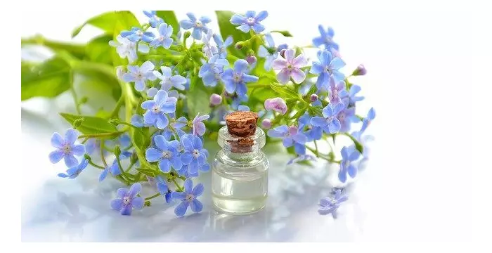 Ароматерапия: что это такое и какие эфирные масла выбрать Ароматерапия: что это такое и какие эфирные масла выбрать