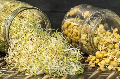 Чем заменить мясо: идеи и предложения Чем заменить мясо: идеи и предложения