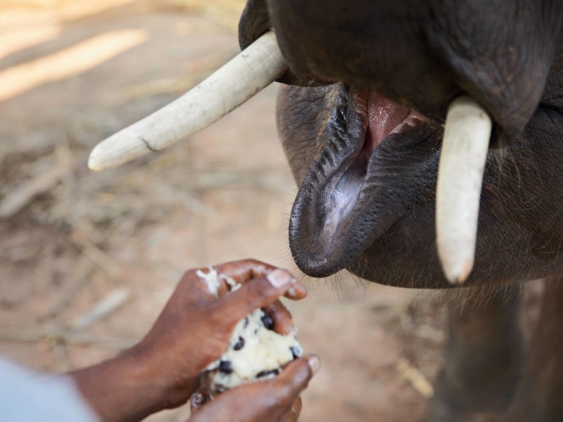 Неизвестный кофе: 5 удивительных фактов Неизвестный кофе: 5 удивительных фактов